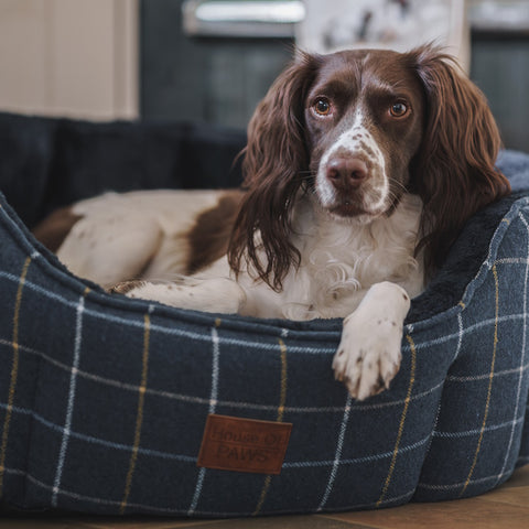 House of paws bed hotsell