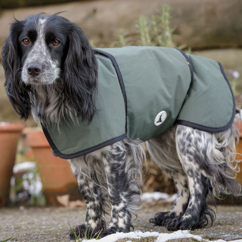 Dog and Field Heritage V2 Training Vest - John Norris