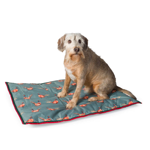 House of paws shop water resistant crate mat