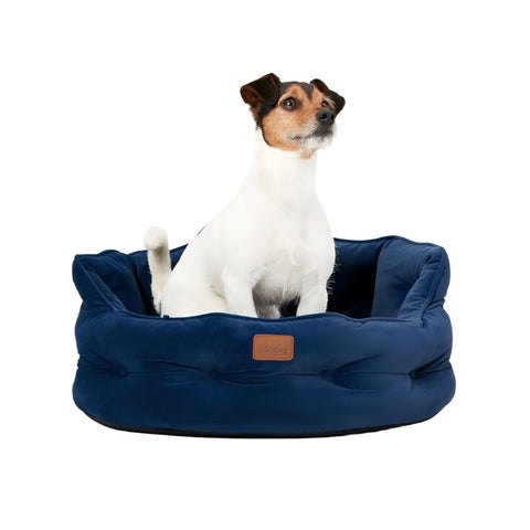 Joules slumber dog bed hotsell