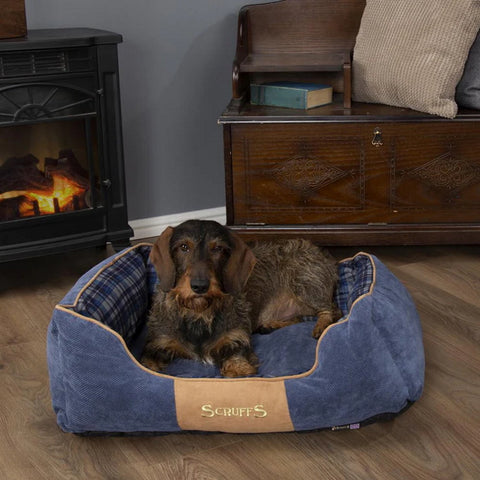 Scruffs chester cheap dog bed