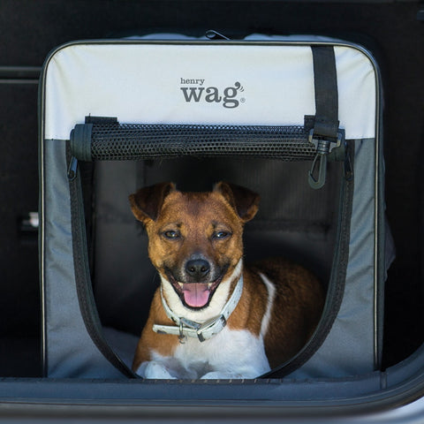 Henry Wag Folding Fabric Travel Crate John Norris