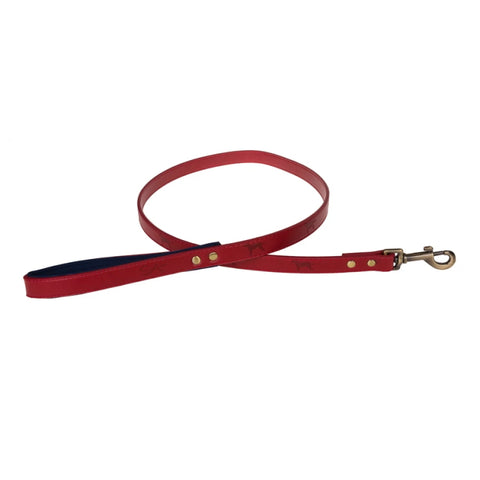 Sophie allport hot sale dog collar