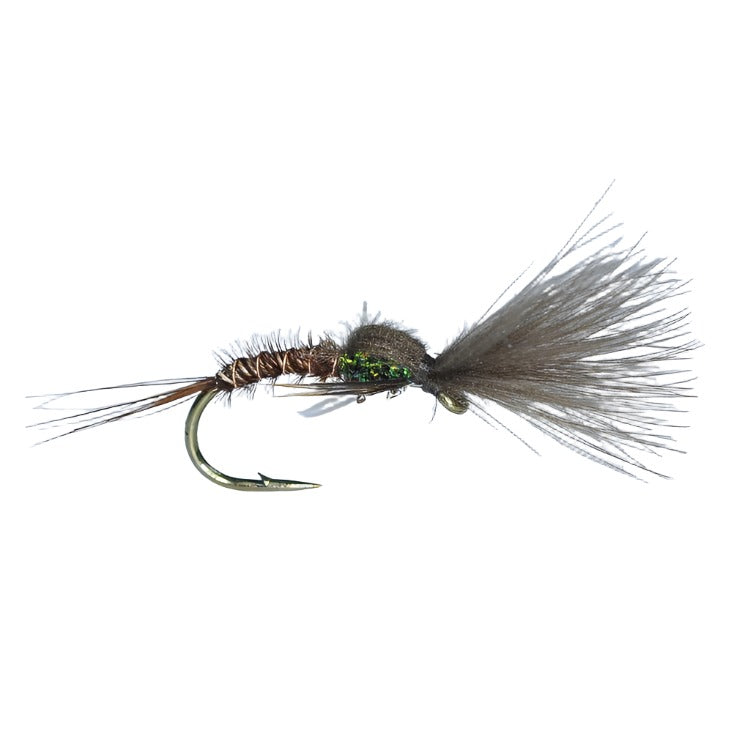 Pro Emergers Fly Fishing Flies Kit