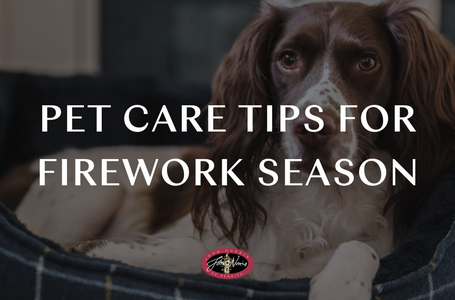 Essential Pet Care Tips for Fireworks Season