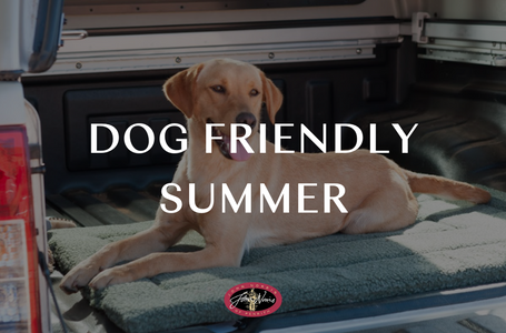 Plan the Perfect Dog Friendly Summer in the Lake District