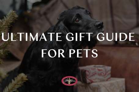 Ultimate Gift Guide for Pets: Treats They'll Love