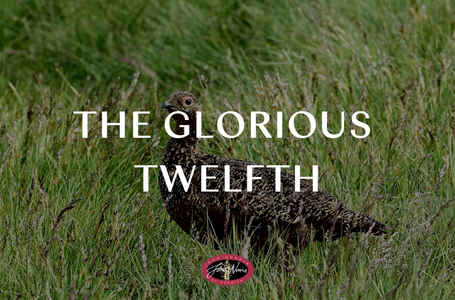 The Glorious 12th: The Start of the Grouse Season