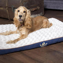 Scruffs Wilton Dog Mattress - Assorted Colours