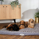 Scruffs Wilton Dog Mattress - Assorted Colours