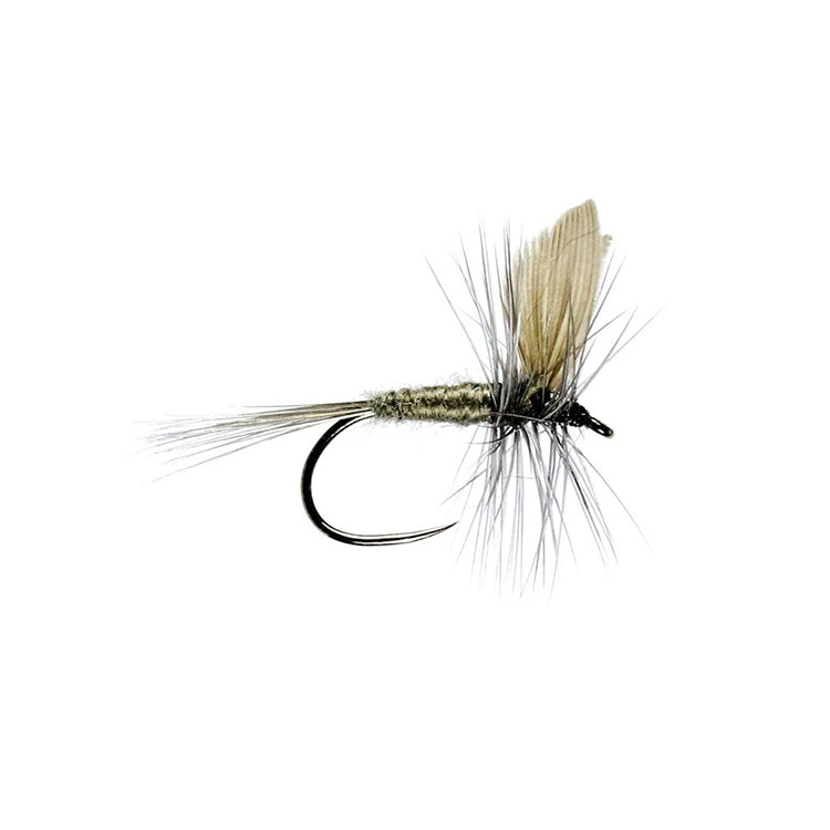 Blue Dun Winged Dry Flies