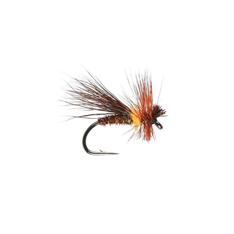 Caledonia Chocolate Drop Sedge Fly