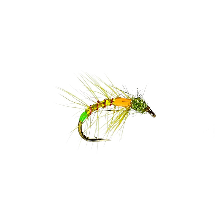 Caledonia Olive Snatcher Fly