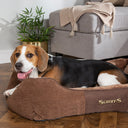 Scruffs Chester Box Dog Bed - Chocolate