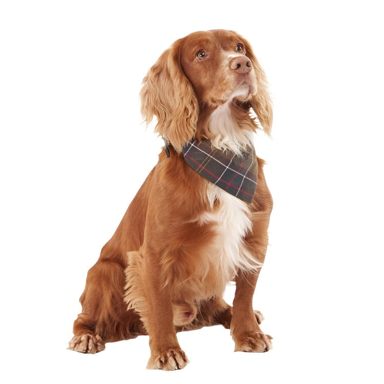 Barbour Tartan Dog Bandana - Classic Tartan