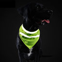 House of Paws Hi Vis Bandana