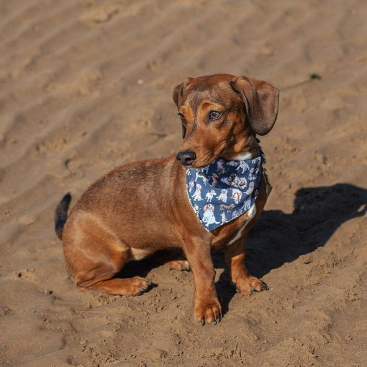 Wrendale Designs Dog Bandana John Norris