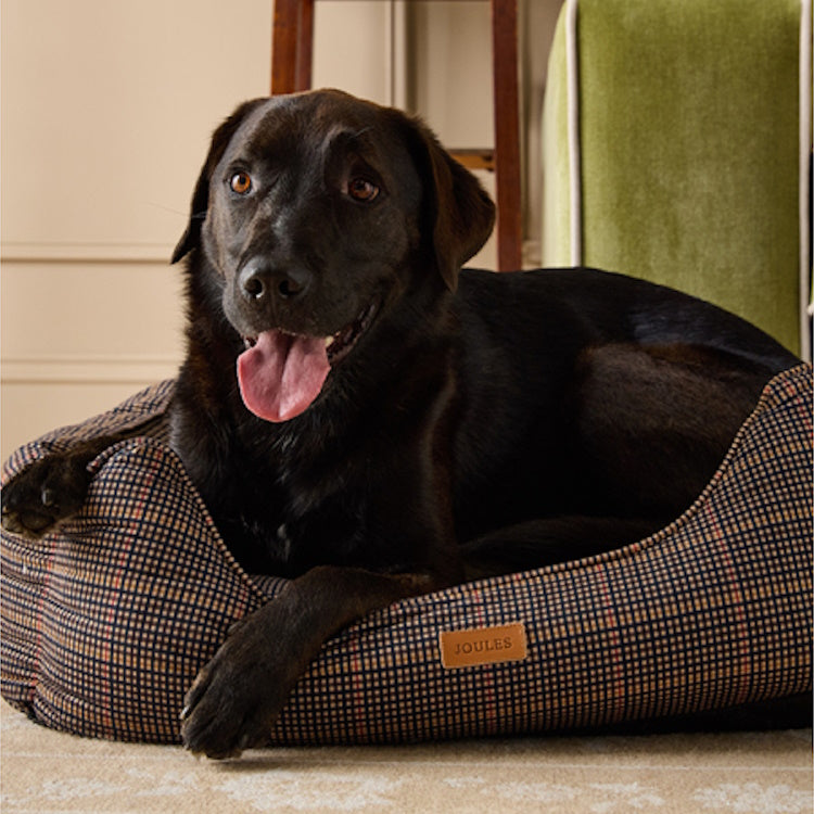 Joules Dog Box Bed - Henson Check