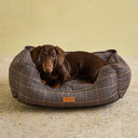 Joules Dog Box Bed - Henson Check