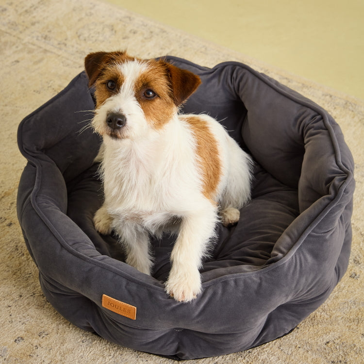 Joules Chesterfield Pet Bed - Grey