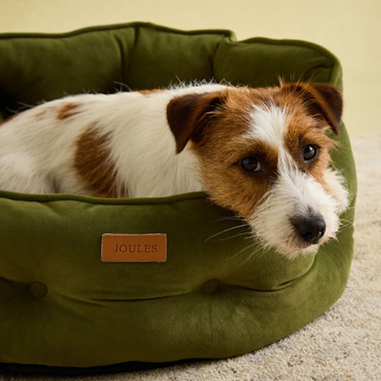 Joules Chesterfield Pet Bed - Khaki