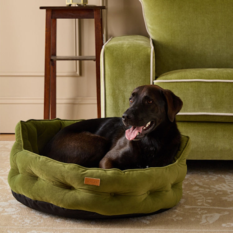 Joules Chesterfield Pet Bed - Khaki