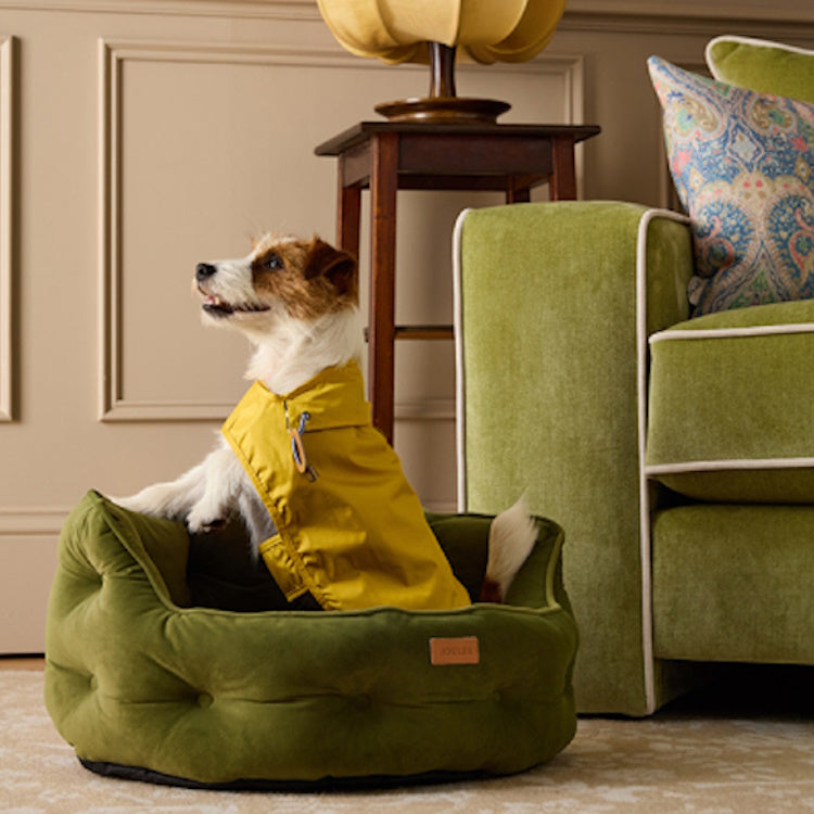 Joules Chesterfield Pet Bed - Khaki