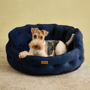 Joules Chesterfield Pet Bed - Navy