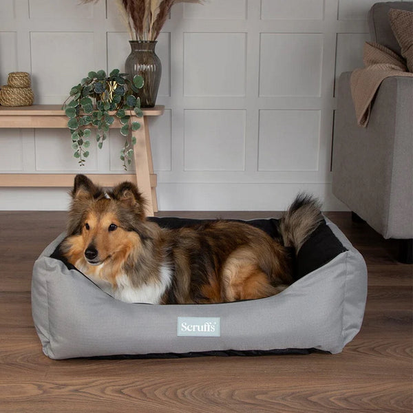 Scruffs Expedition Water Resistant Box Dog Bed - Storm Grey