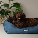 Scruffs Expedition Dog Box Bed - Atlantic Blue