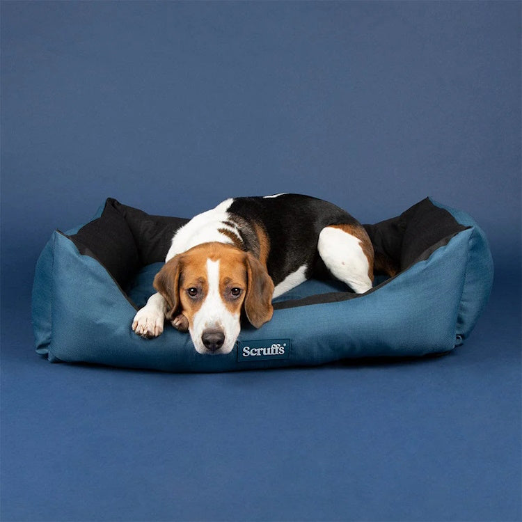 Scruffs Expedition Dog Box Bed - Atlantic Blue