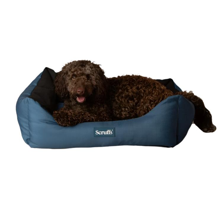 Scruffs Expedition Dog Box Bed - Atlantic Blue