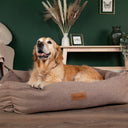 Scruffs Seattle Dog Box Bed - Sienna Brown