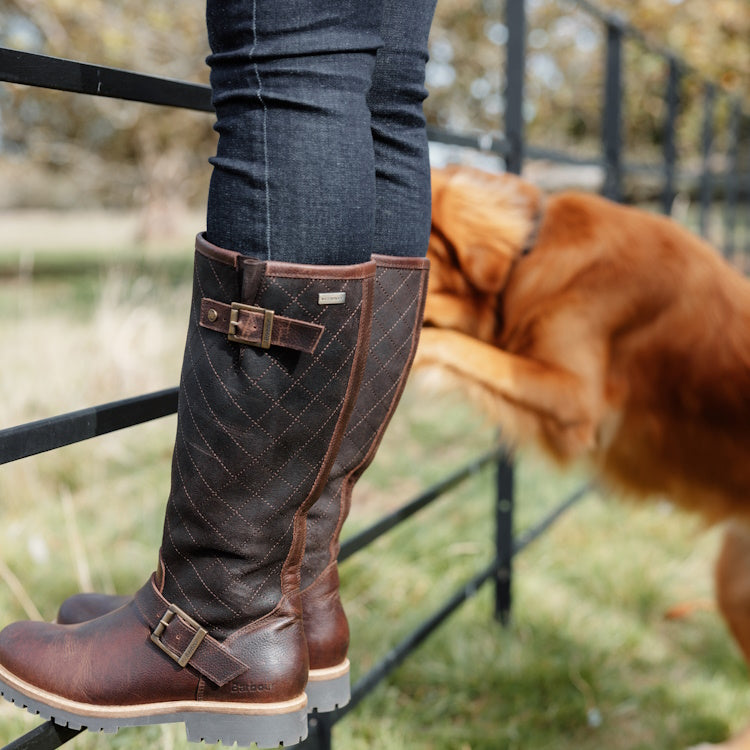 Barbour Ladies Willow Tall Boot - Dark Brown