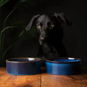 Scruffs Reactive Glaze Dog Bowl - Midnight Blue