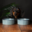 Scruffs Reactive Glaze Dog Bowl - Pinstripe