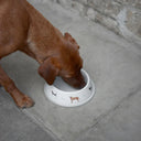 Sophie Allport Woof Dog Bowl - Large