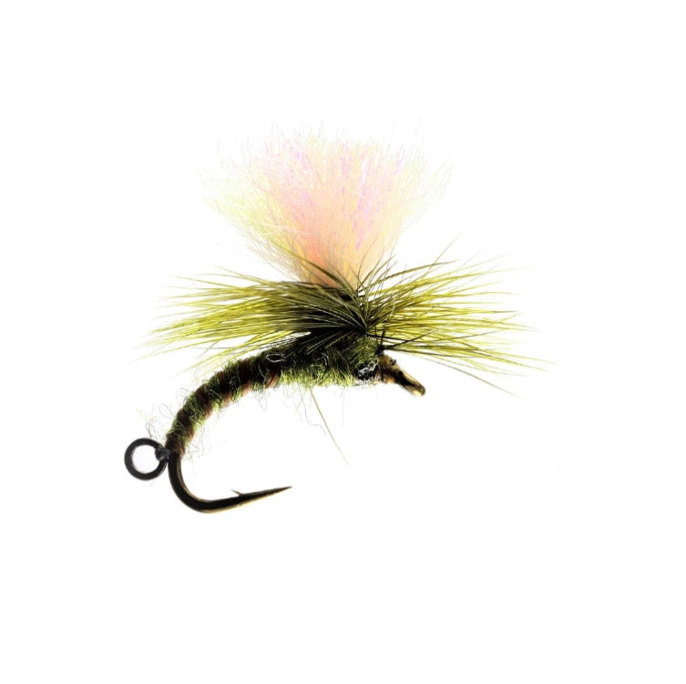 Olive Klink and Dink Flies