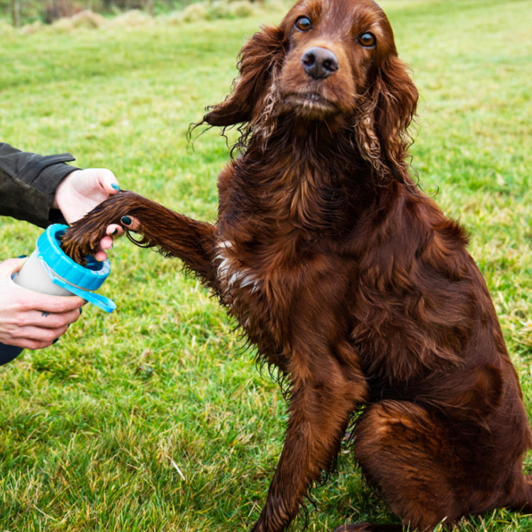 Henry Wag Pet Paw Cleaner