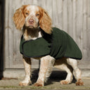 Dog and Field Towelling Dog Coat