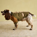 Joules Kennington Dog Coat