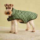 Joules Quilted Dog Coat - Khaki