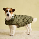 Joules Quilted Dog Coat - Khaki