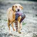 Dog and Field Pheasant Dead Bird Dummy