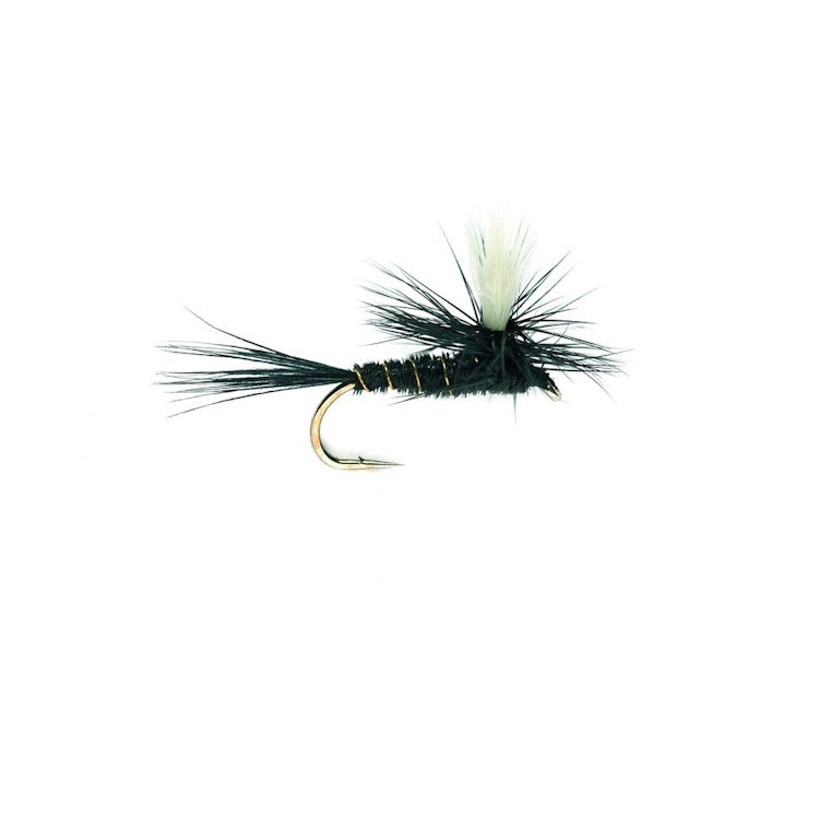 Parachute Black Gnat Dry Fly