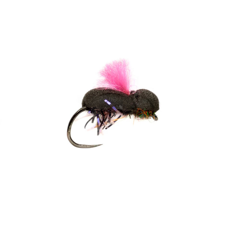 Procter Target Beetle Pink Barbless Fly