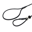 Dog and Field Signature Slip Lead