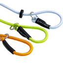 Dog and Field Signature Slip Lead