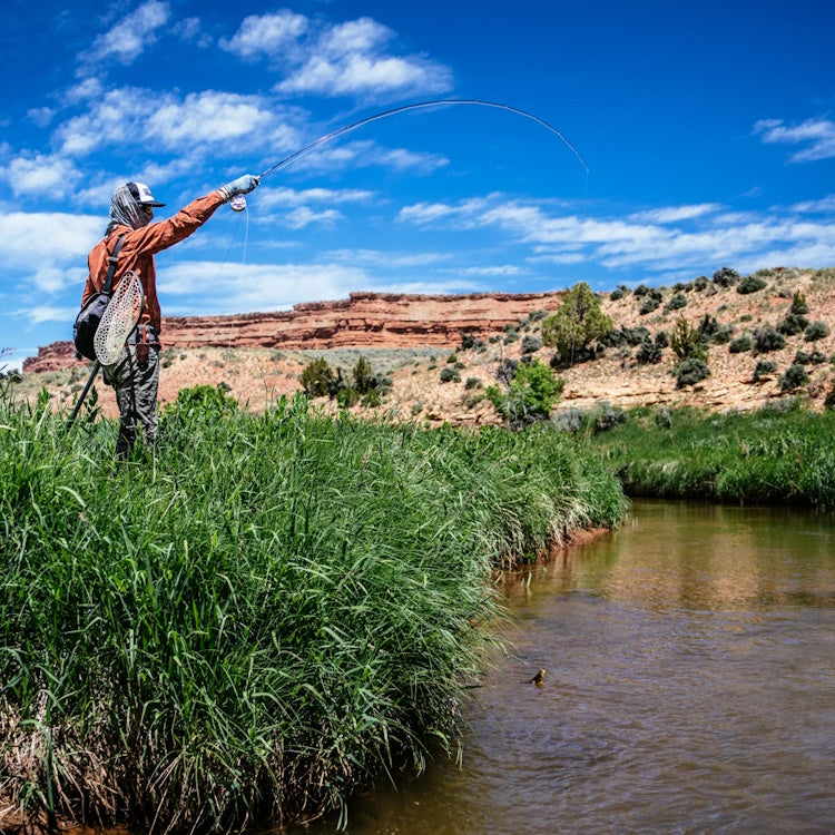 Thomas & Thomas Lotic Fly Rod