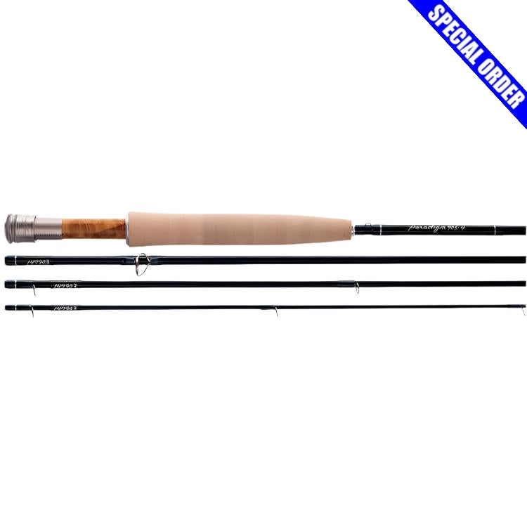 Thomas & Thomas Paradigm Fly Rod